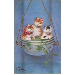 CHATS -MK39991 TROIS CHATS TIGRE ET BLANC NOIR DANS UN POT DE FLEURS PAR ILLUSTRATEUR A.STONE