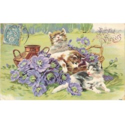 CHATS -MK39993 AMITIE SINCERE TROIS CHATS FLEURS VIOLETTES PANIER VASE