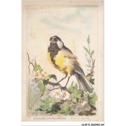 AS-BFP1-0083 - Animaux - Oiseaux - Mésange charbonnière - parus major