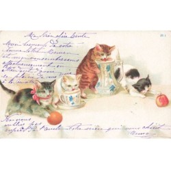 CHATS -MK39989 CHATS QUI BOIVENT DU LAIT TASSE VASE POMME
