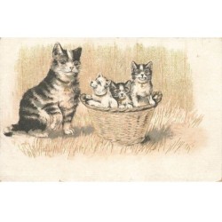 CHATS AB-MK287 CHATONS DANS UN PANIER