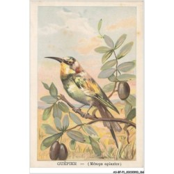 AS-BFP1-0084 - Animaux - Oiseaux - Guépier