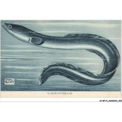 AY-BFP1-0211-POISSON - L'ANGUILLE - Raoul Guinot