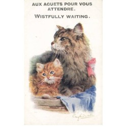 CHATS CHATON TIGRE -FG35020 CAT KATZE PORTRAIT AUX AGUETS POUR VOUS ATTENDRE PAR VALTER