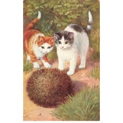 CHATS AB-MK279 DEUX CHATS ET UN HERISSON