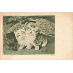 CHATS AB-MK257 DEUX CHATONS BLANC ET GRIS SOUS UN PANIER PAR DREHER