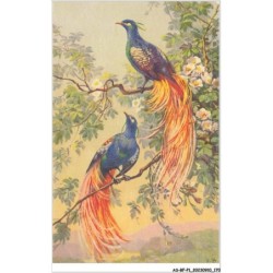 AS-BFP1-0086 - Animaux - Oiseaux - Paon