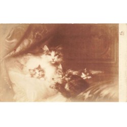 CHAT -MK33254 MAMAN ET SES CHATONS