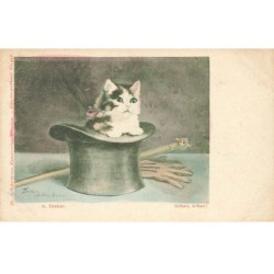 CHATS AB-MK248 UN CHAT CHATON DANS UN CHAPEAU PAR DREHER