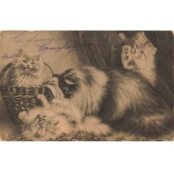 CHATS AF-DC477 CHATS ET CHATONS JOUANTS ET CHAT DANS UNE CORBEILLE