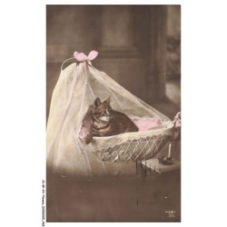 CI-BFP3-1173-CHAT - Le lit du chat