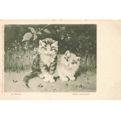CHATS AB-MK254 DEUX CHATONS GRIS ET BLANC PAR DREHER