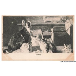 CI-BFP3-1175-CHAT - Groupe de chats