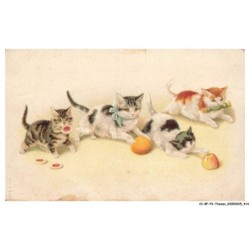 CI-BFP3-1166-CHAT - Nourritures et chats