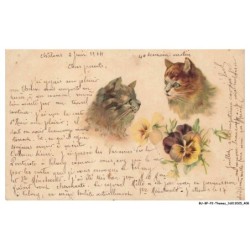 BU-BFP2-0313-ANIMAUX - Vue sur des chats - Fleurs