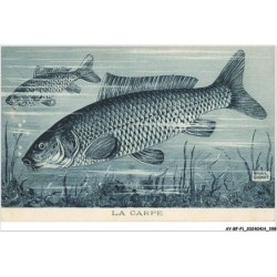 AY-BFP1-0200-POISSON - LA CARPE - Raoul Guinot