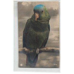 OISEAU -FG57231 PERRUCHE VERTE ET BLEUE CARTE A SYSTEME OEIL PERLE