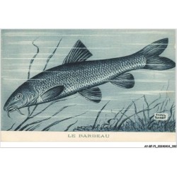 AY-BFP1-0197-POISSON - LE BARBEAU - Raoul Guinot