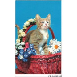 AY-BFP1-0168-CHAT - Chat dans un panier rempli de fleurs