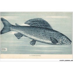 AY-BFP1-0203-POISSON - L'OMBRE - Raoul Guinot