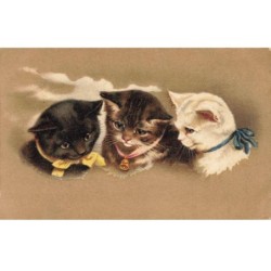 CHATS CHAT -FG35109 CAT KATZE PORTRAIT DE TROIS CHATS NOIR BLANC ET TIGRE AVEC NOEUDS ET CLOCHETTE
