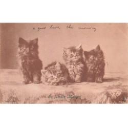 CHAT -32375 LA FAMILLE MISTIGRI QUATRE CHATONS NOIRS ET TIGRES