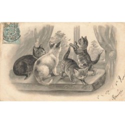 CHATS CHAT -FG35077 CAT KATZE GROUPE DE CHATS JOUANT PRES DE LA FENETRE