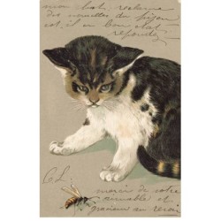 CHATS CHAT -FG35086 CAT KATZE PORTRAIT D UN CHAT TIGRE AREGARDANT UN INSECTE ABEILLE BEE GAUFREE