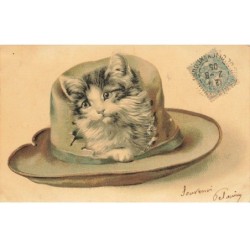 CHATS CHAT -FG35117 CAT KATZE PORTRAIT D UN CHAT TRAVERSANT UN CHAPEAU GAUFREE