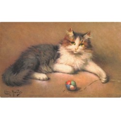 CHATS -MK34362 CHAT ALLONGE AU SOL AVEC SA BALLE
