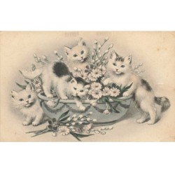 CHATS CHAT -FG35136 CAT KATZE GROUPE DE CHATS DANS VASE DE MARGUERITE TYPE VIENNE MUNK