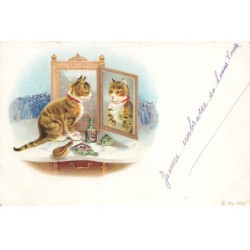 CHATS CHAT -FG35126 CAT KATZE UN CHAT SE REGARDE DANS LE MIROIR PARFUM BOUTEILLE