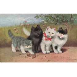 CHATS -MK34363 QUATRES CHATS UN GRIS UN NOIR ET DEUX BLANCS