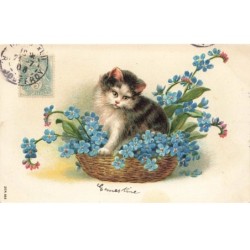 CHATS CHAT -FG35123 CAT KATZE UN CHAT DANS UN PANIER DE MYOSOTIS GAUFREE