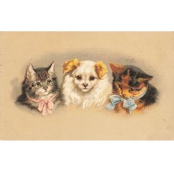 CHATS CHAT -FG35116 CAT KATZE PORTRAIT DE DEUX CHATS ET UN CHIOTS AVEC NOEUDS