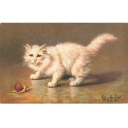 CHATS -MK34369 CHAT BLANC ET UN ESCARGOT