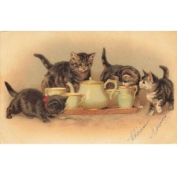CHATS CHAT -FG35092 CAT KATZE GROUPE DE CHATONS DEVANT LA THEIERE