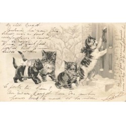 CHATS -MK34372 CHATS ET CHATONS DANS LA NEIGE GAUFREE