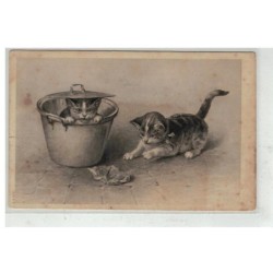 CHAT -17114 CHAT CACHER DANS UNE MARMITTE