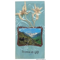 BX-BFP1-0058-05 - GAP - La vallée
