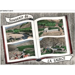 CJ-BFP1-0322-05 - Souvenir de - LA SAULCE - Vue d'ensemble - Le pont sur la durance