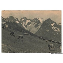 CG-BFP2-0840-05 - Environs de gap - Le lautaret - Alt 2058 m