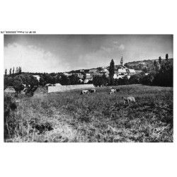 BX-BFP1-0090-05 - SAINT-JULIEN-EN-CHAMPSAUR - Vue générale