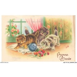 AQFP9-0624-CHAT - la chute du pot de fleurs - bonne année