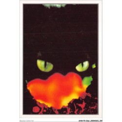 AHWP2-0218 - CHAT - schieberle - cogis