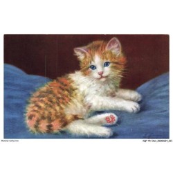 AQFP8-0521-CHAT - le regard