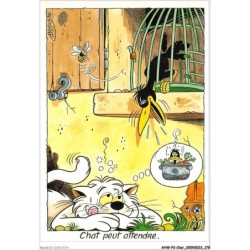 AHWP2-0230 - CHAT - auguste - chat peut attendre