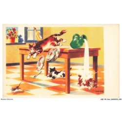 AQFP8-0530-CHAT - la chasse a la souris