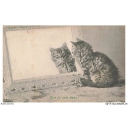 AQFP8-0526-CHAT - la beauté au miroir