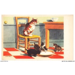 AQFP8-0529-CHAT - pendant le repas